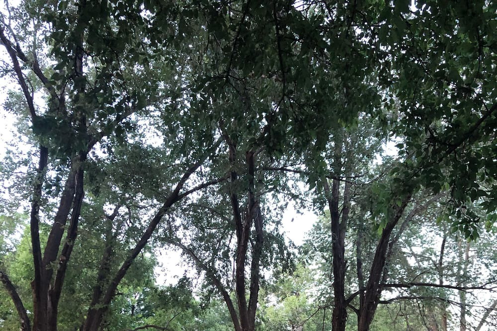 Photo of Outdoor in Ransom Canyon