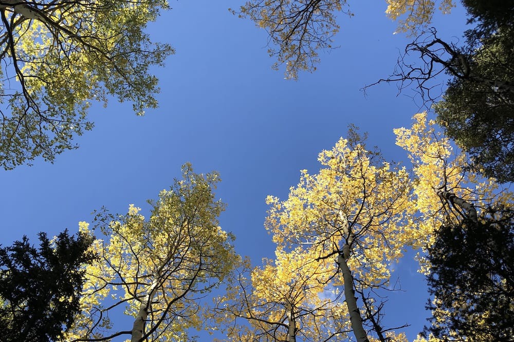 Photo of Outdoor in Shadow Mountain