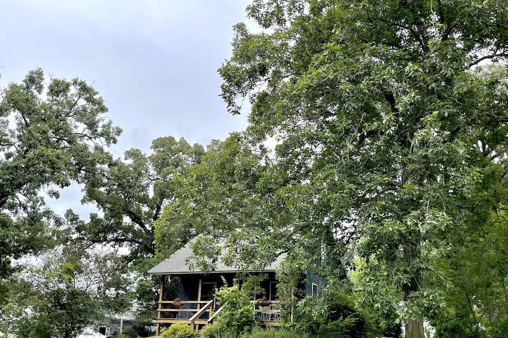 Photo of Outdoor in Columbia