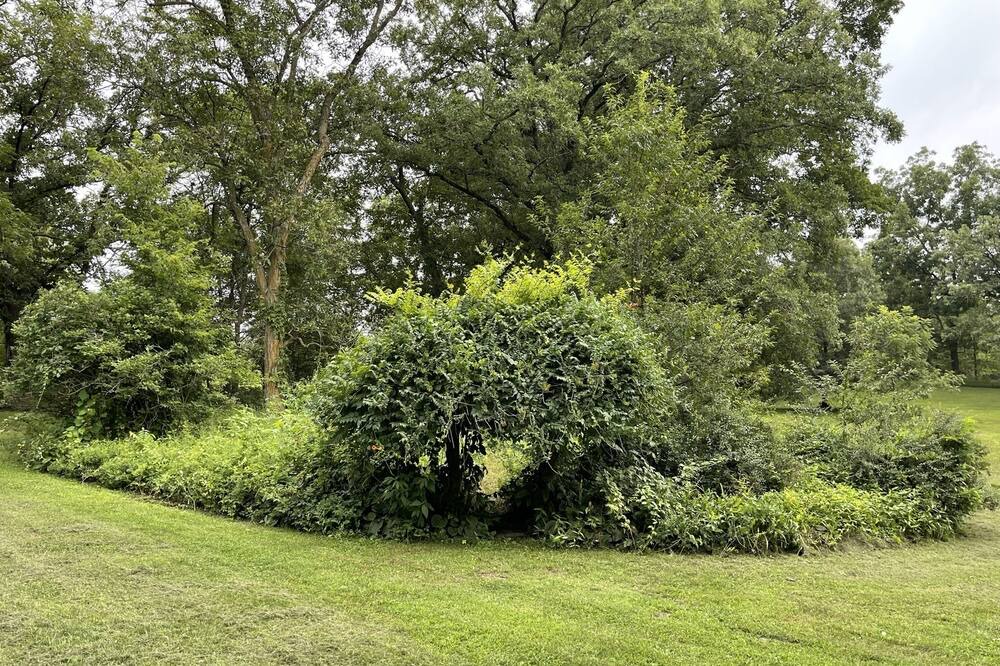 Photo of Outdoor in Columbia