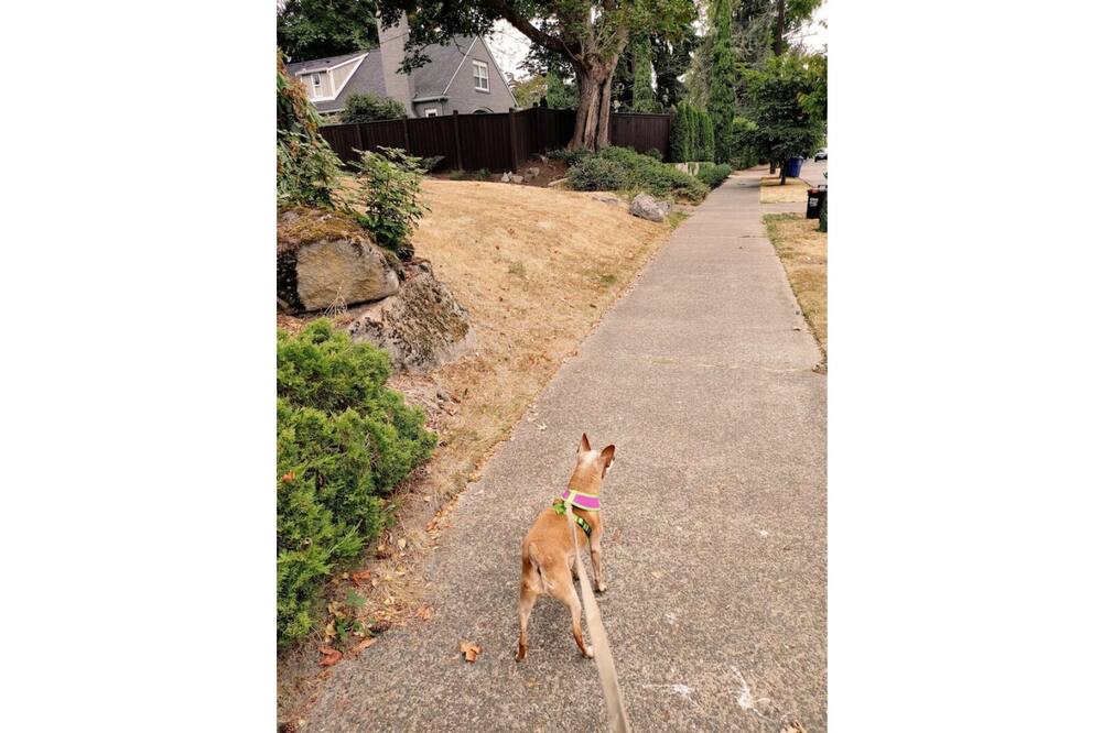 Photo of Outdoor in Seattle Metro Area