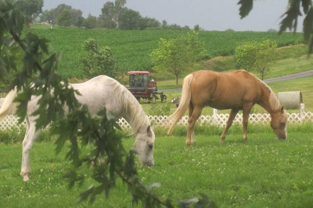 Photo of Outdoor in St. Joseph