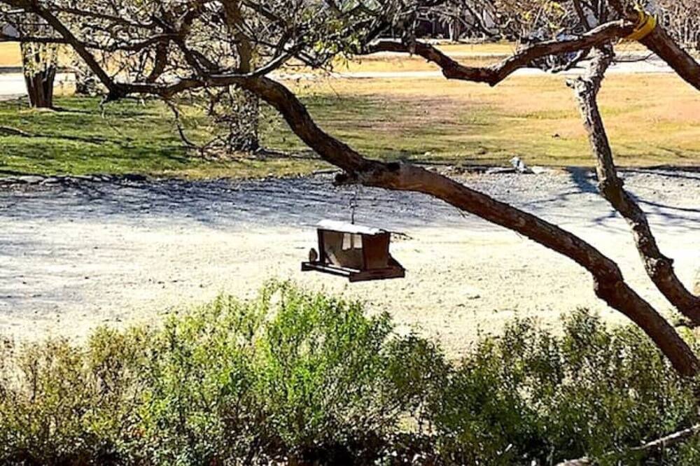 Photo of Outdoor in Elmo