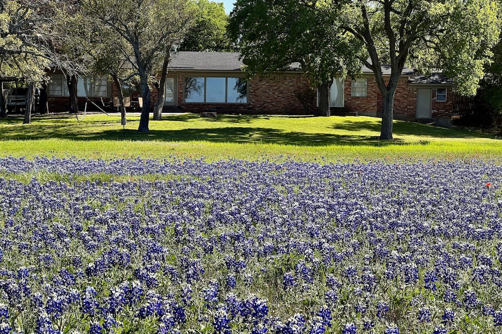 Photo of Outdoor in Laguna Park
