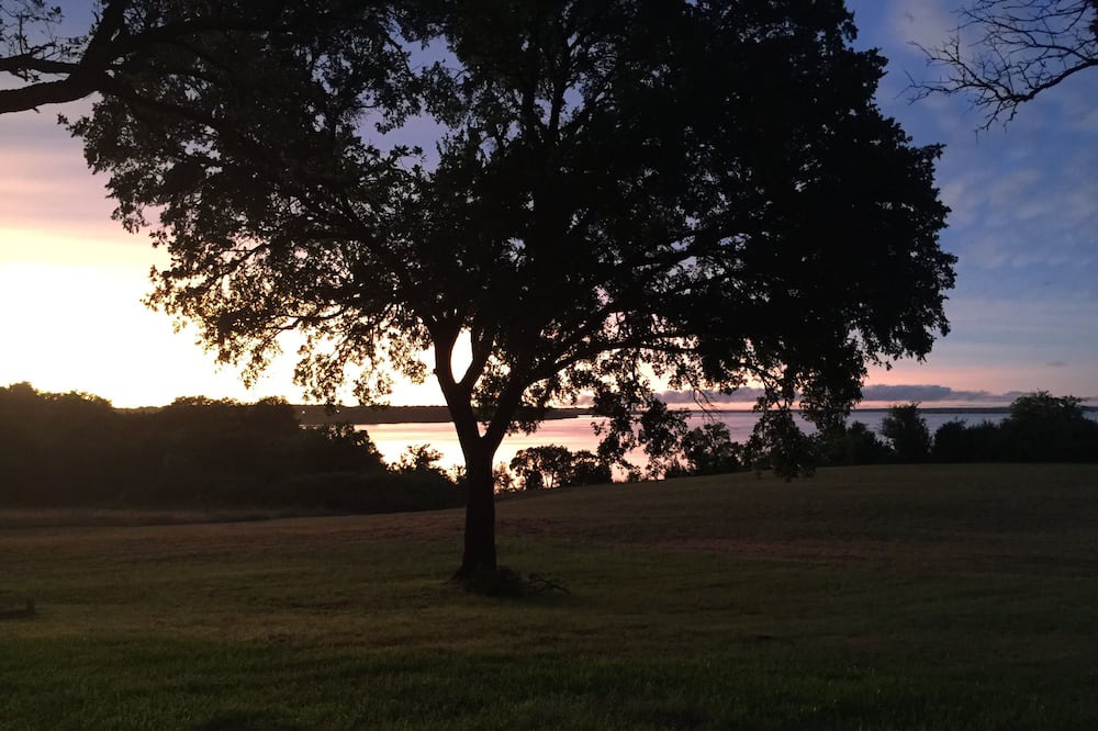 Photo of Outdoor in Laguna Park