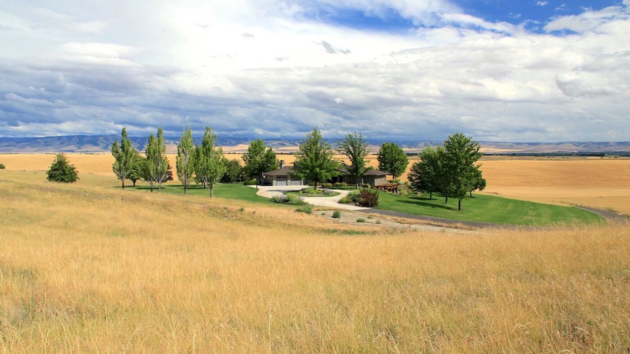 Photo of Others in Walla Walla