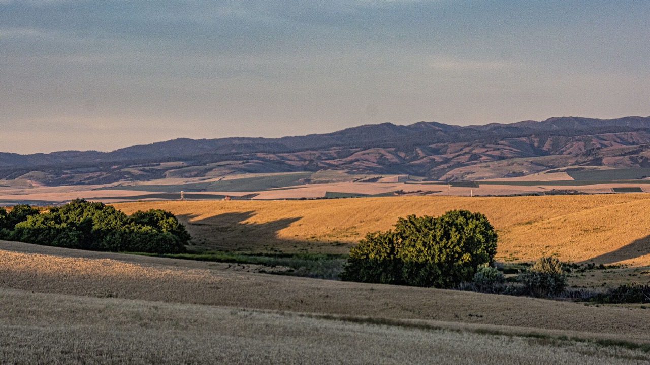 Photo of Outdoor in Walla Walla