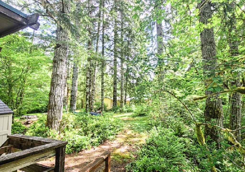 Photo of Outdoor in Beaver