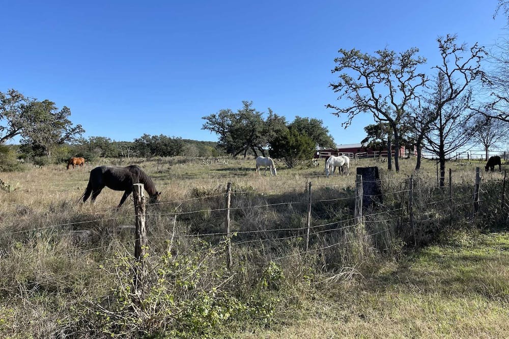 Photo of Others in Bandera
