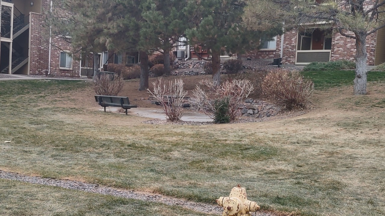 Photo of Outdoor in Thornton