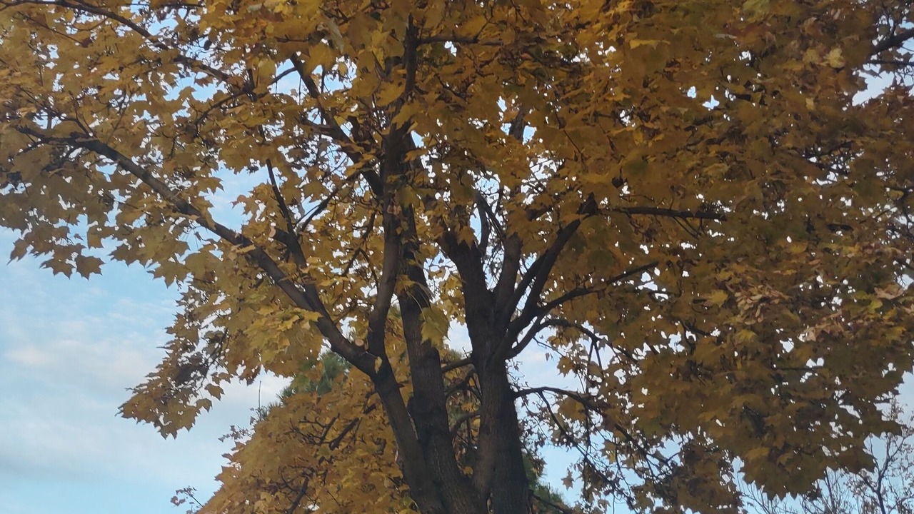 Photo of Outdoor in Thornton