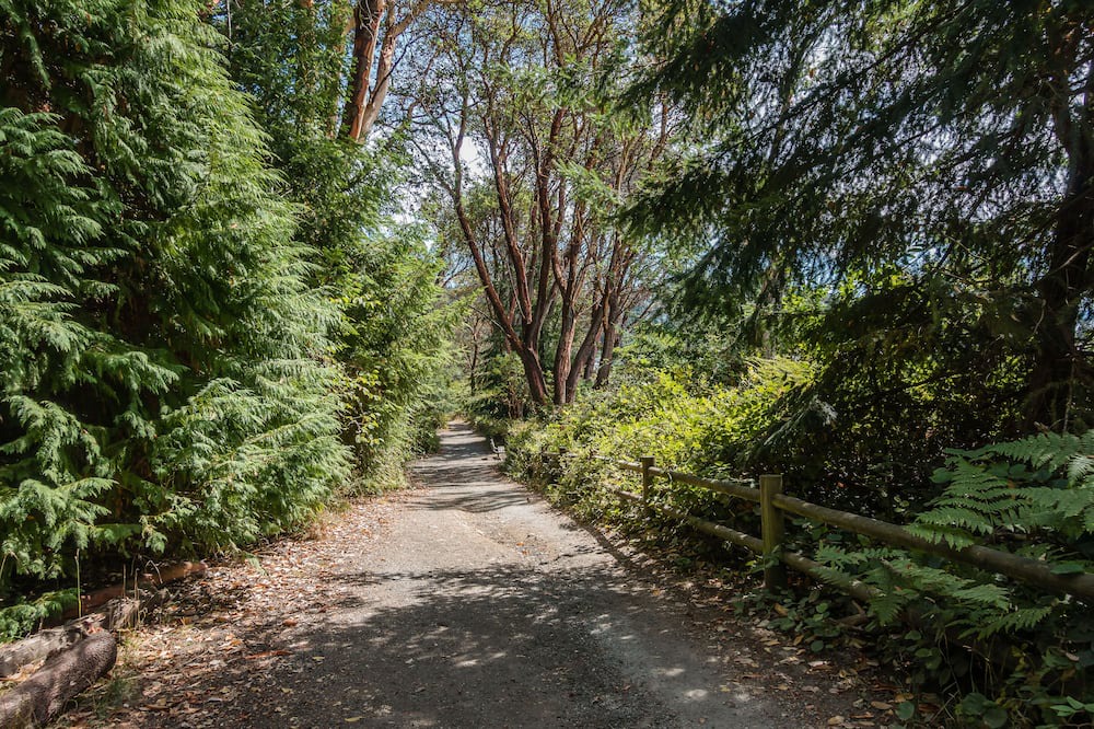 Photo of Others in South Seattle