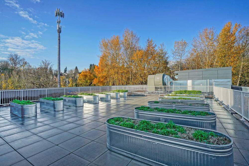 Photo of Outdoor in North Beacon Hill