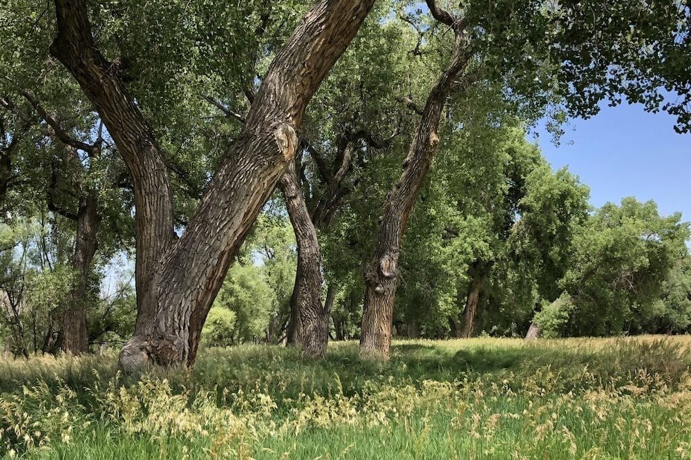 Photo of Others in Longmont
