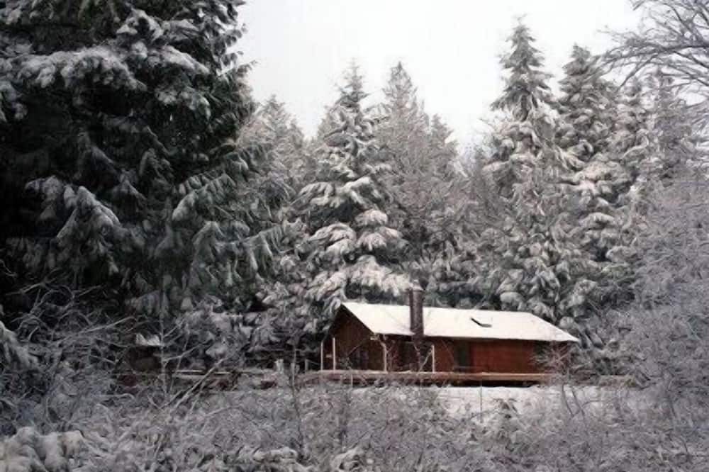 Photo of Others in Quilcene