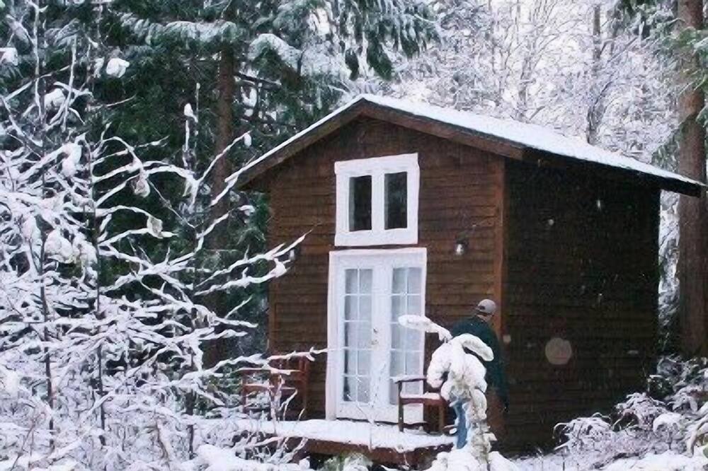 Photo of Others in Quilcene