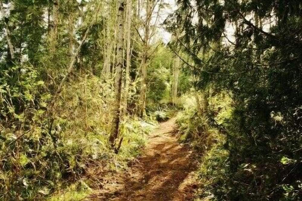 Photo of Outdoor in Quilcene
