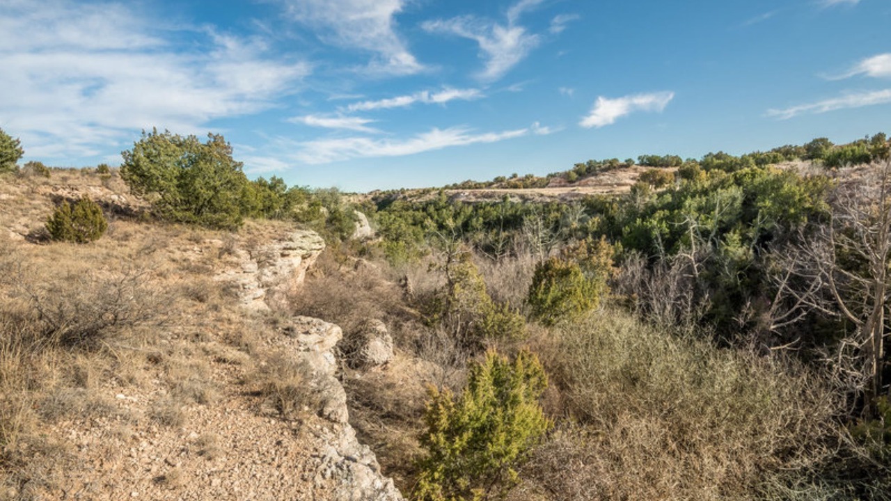 Photo of Outdoor in Amarillo
