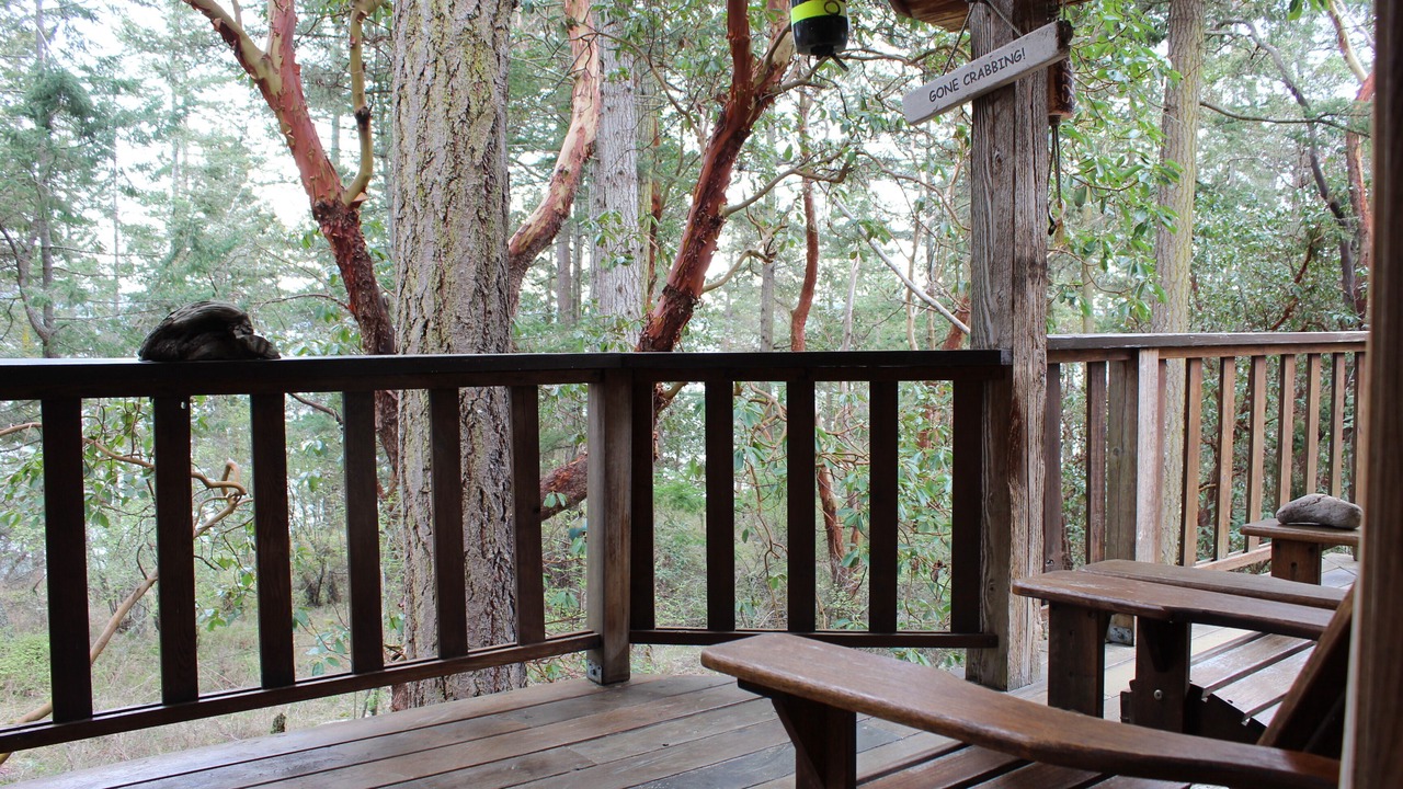 Photo of Outdoor in Eastsound