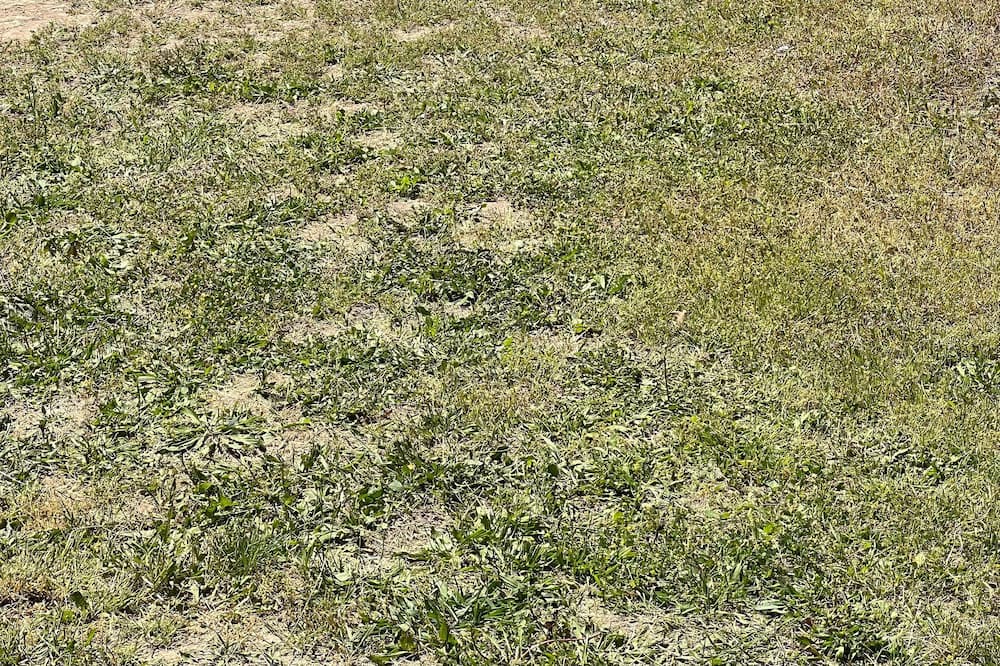 Photo of Outdoor in Pine Hollow