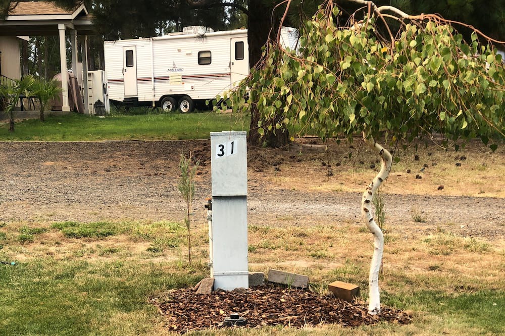 Photo of Outdoor in Pine Hollow