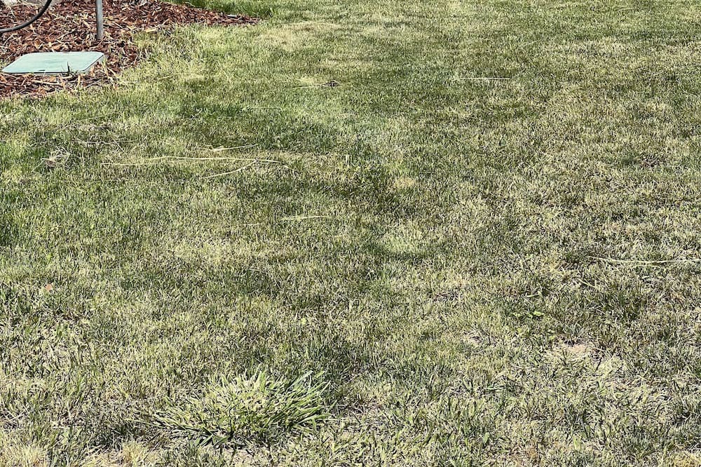 Photo of Outdoor in Pine Hollow