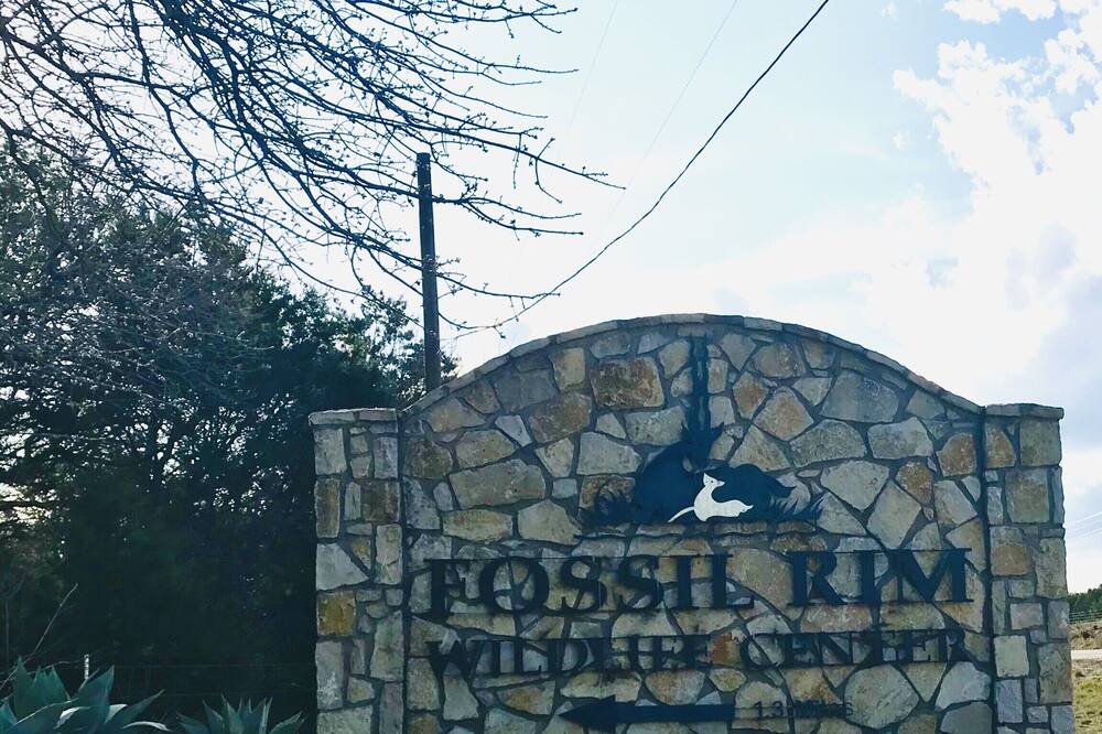 Photo of Outdoor in Glen Rose