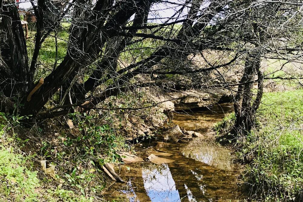 Photo of Outdoor in Glen Rose