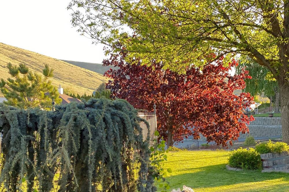 Photo of Outdoor in Ephrata