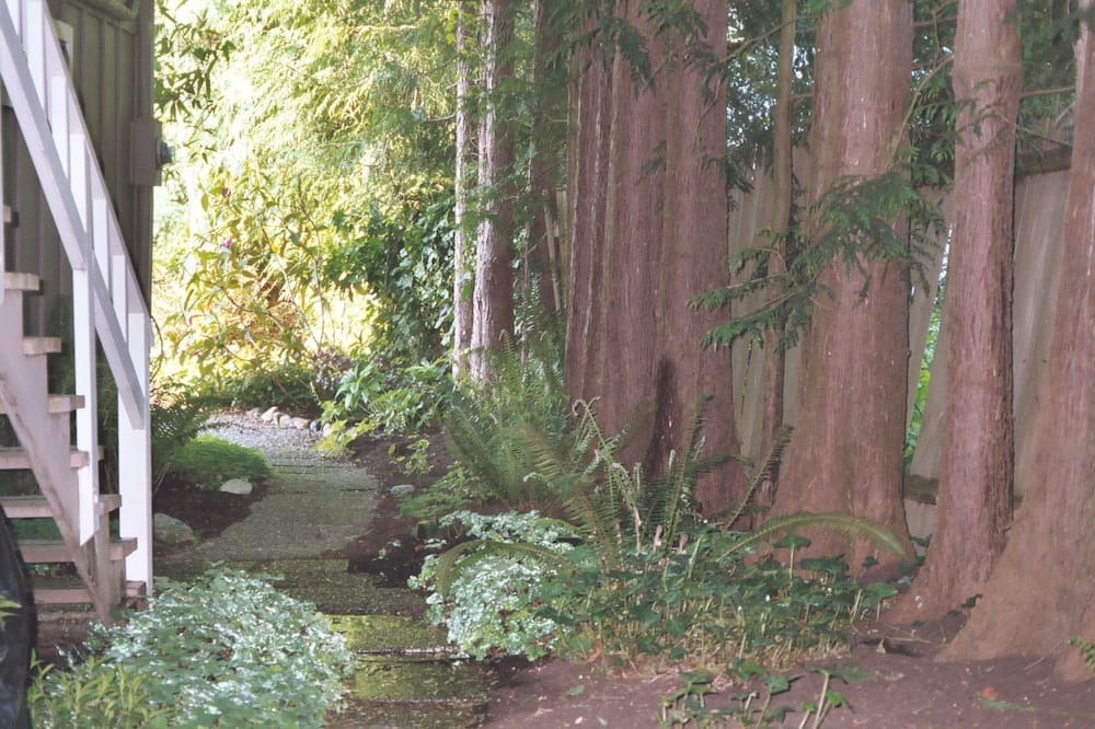 Photo of Outdoor in Rollingbay