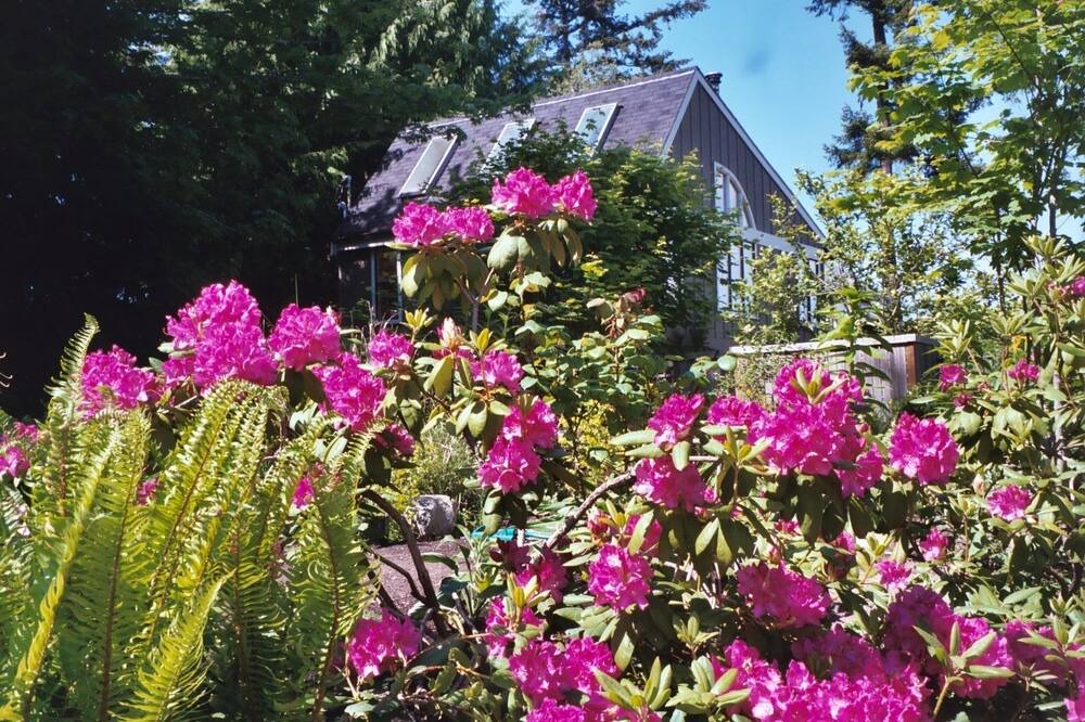 Photo of Outdoor in Rollingbay