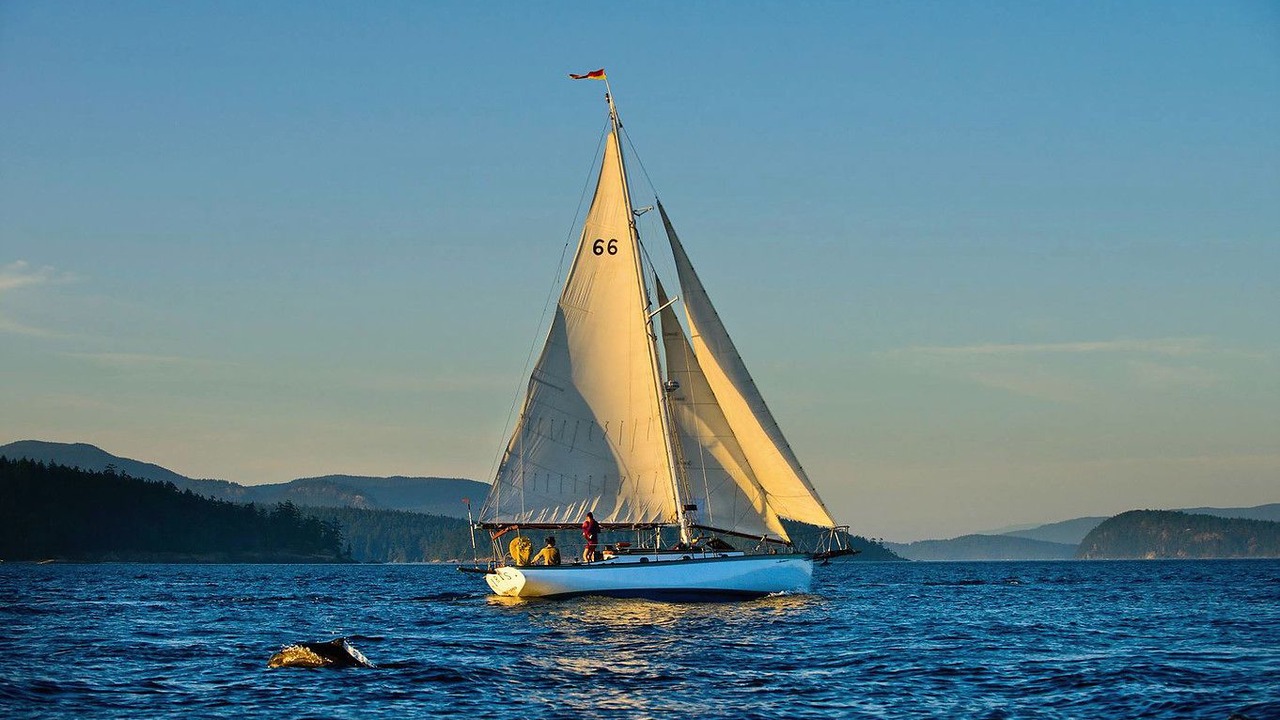 Photo of Others in Friday Harbor