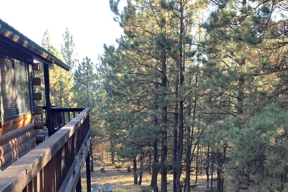 Photo of Others in Angel Fire