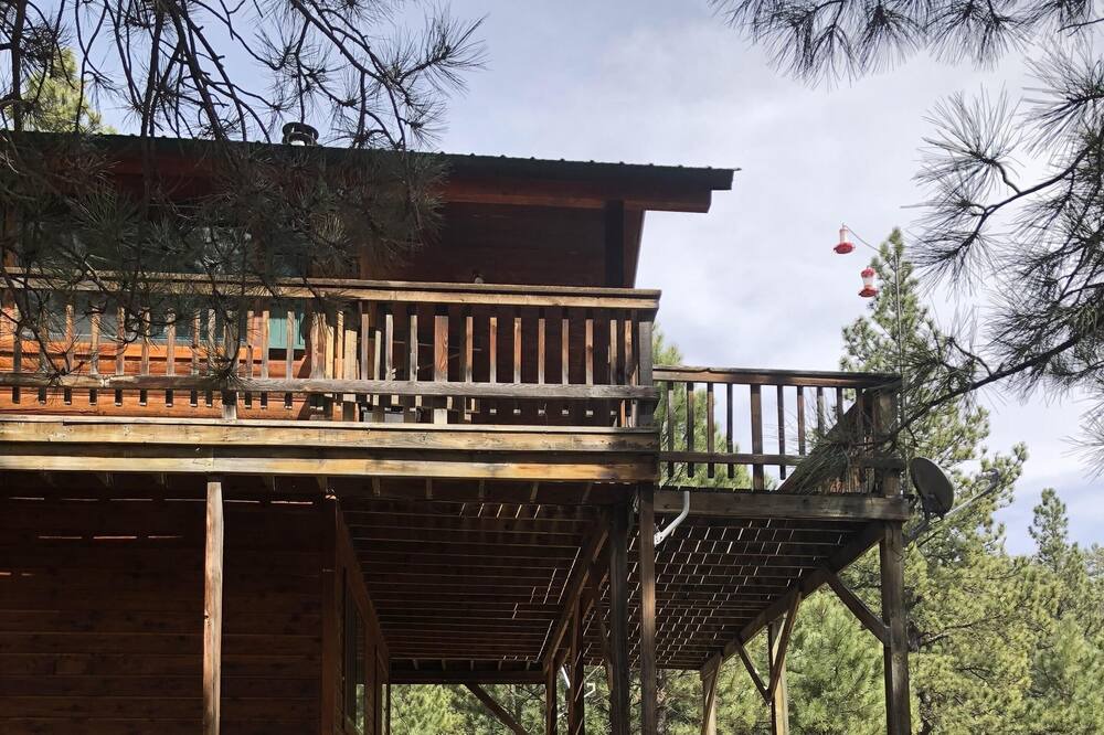 Photo of Others in Angel Fire