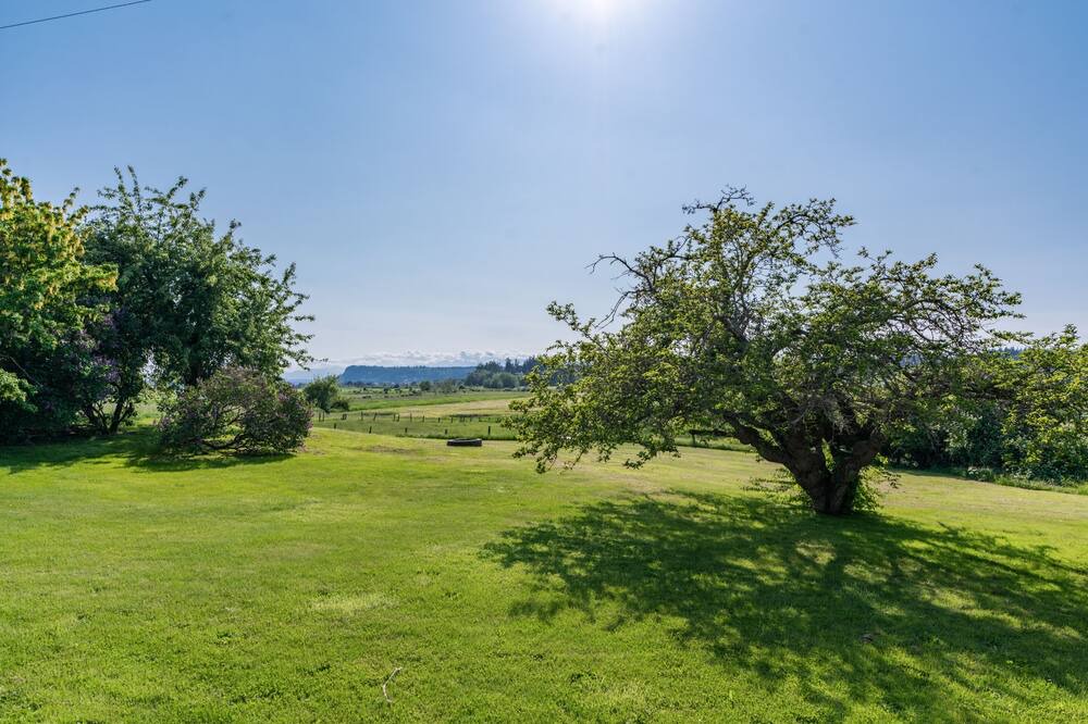 Photo of Others in Langley
