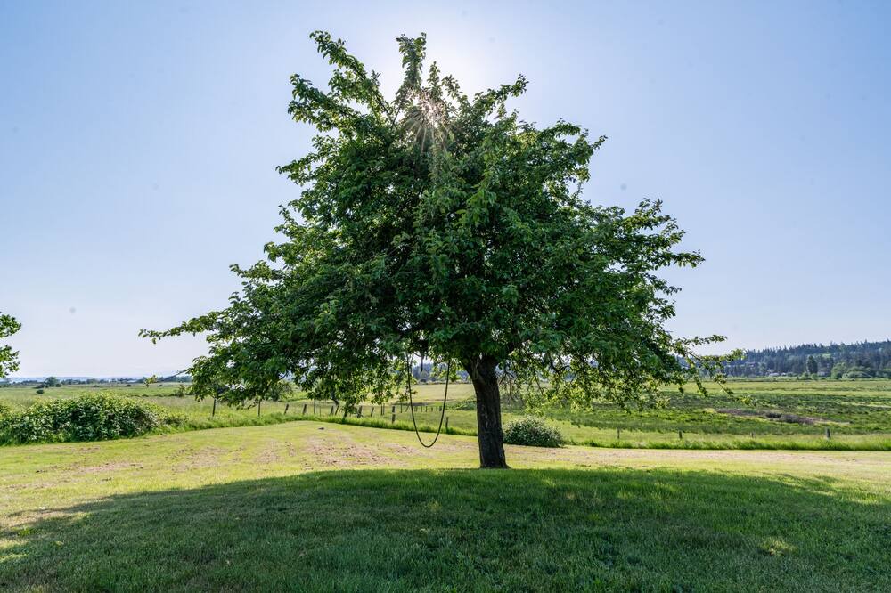 Photo of Others in Langley