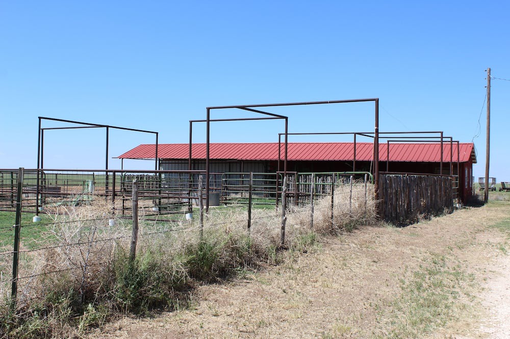 Photo of Others in Tulia