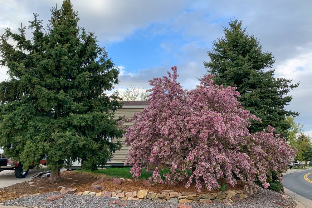 Photo of Outdoor in Walnut Grove