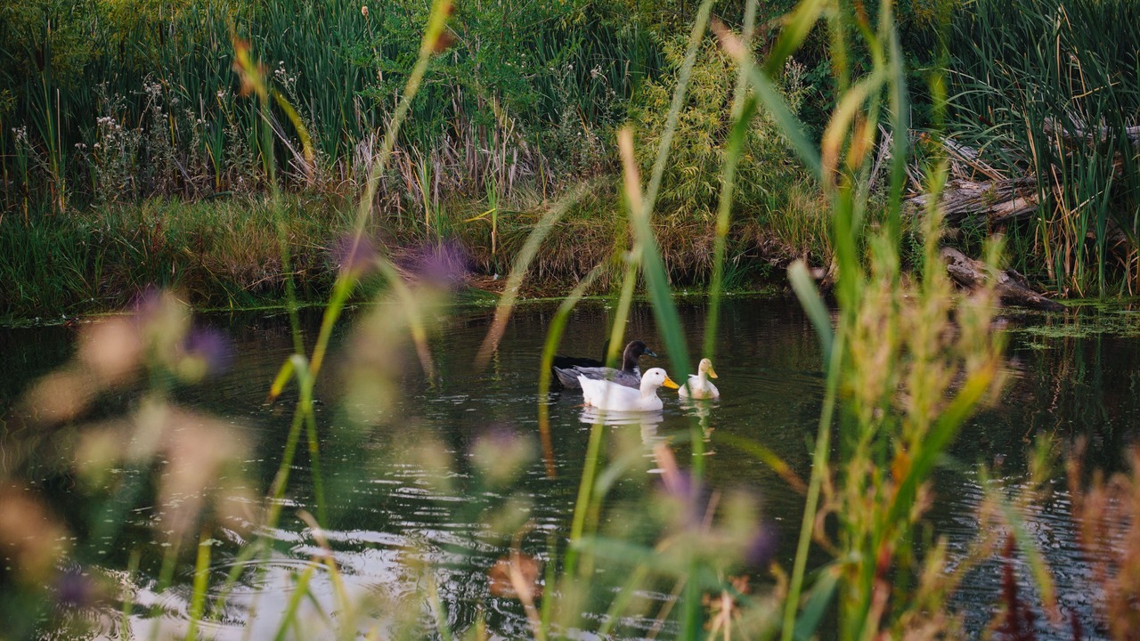 Photo of Outdoor in Fort Collins