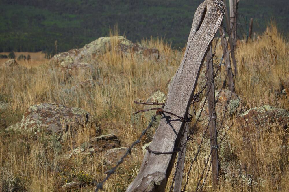 Photo of Others in Angel Fire