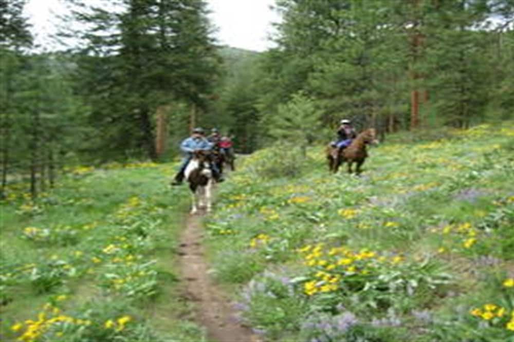 Photo of Others in Twisp