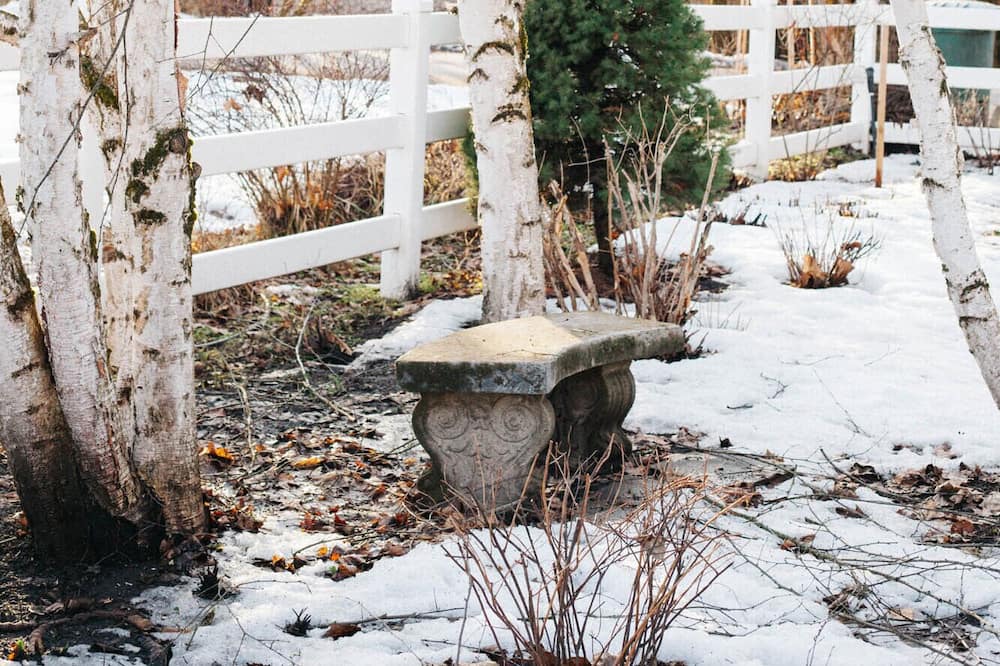 Photo of Outdoor in Chewelah