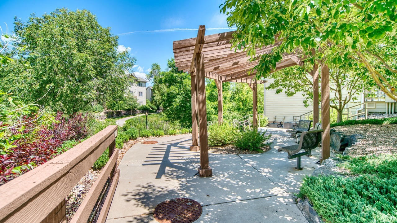 Photo of Outdoor in Bear Creek