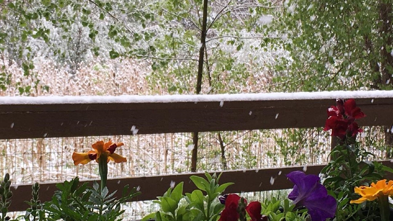 Photo of Outdoor in Bear Creek