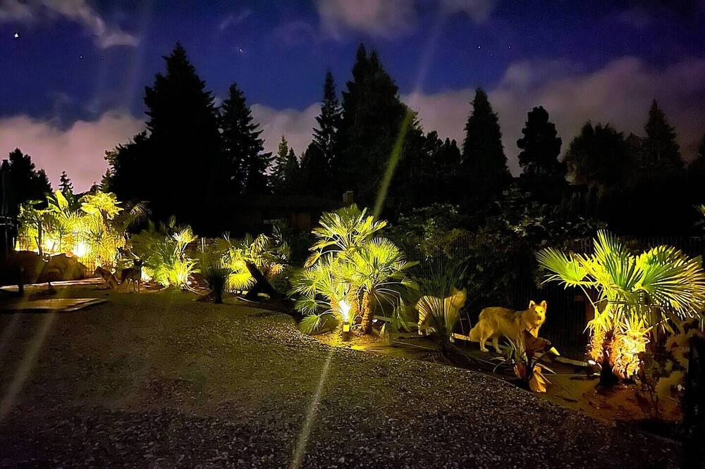 Photo of Outdoor in Three Tree Point