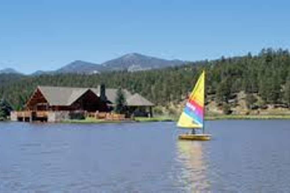 Photo of Others in Evergreen