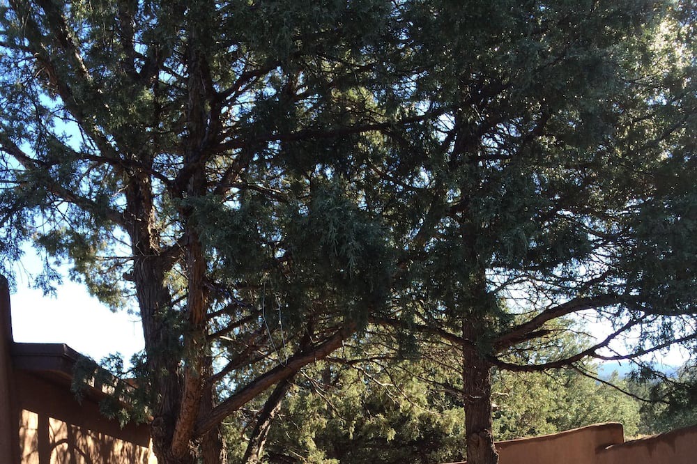 Photo of Others in Taos