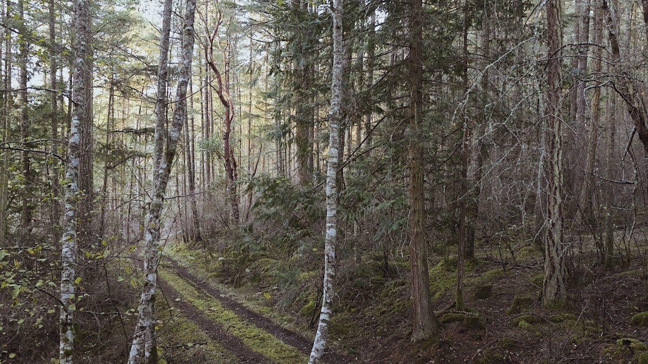 Photo of Outdoor in Eastsound