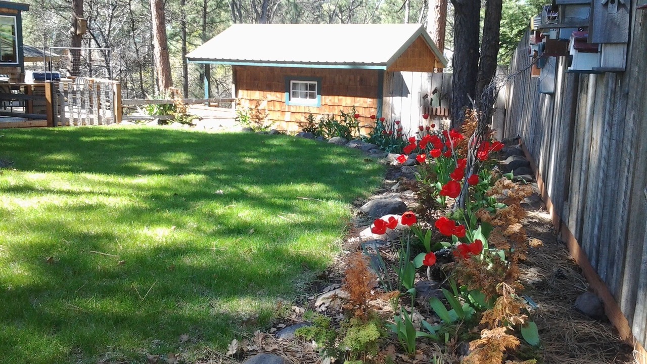 Photo of Outdoor in Pine Hollow