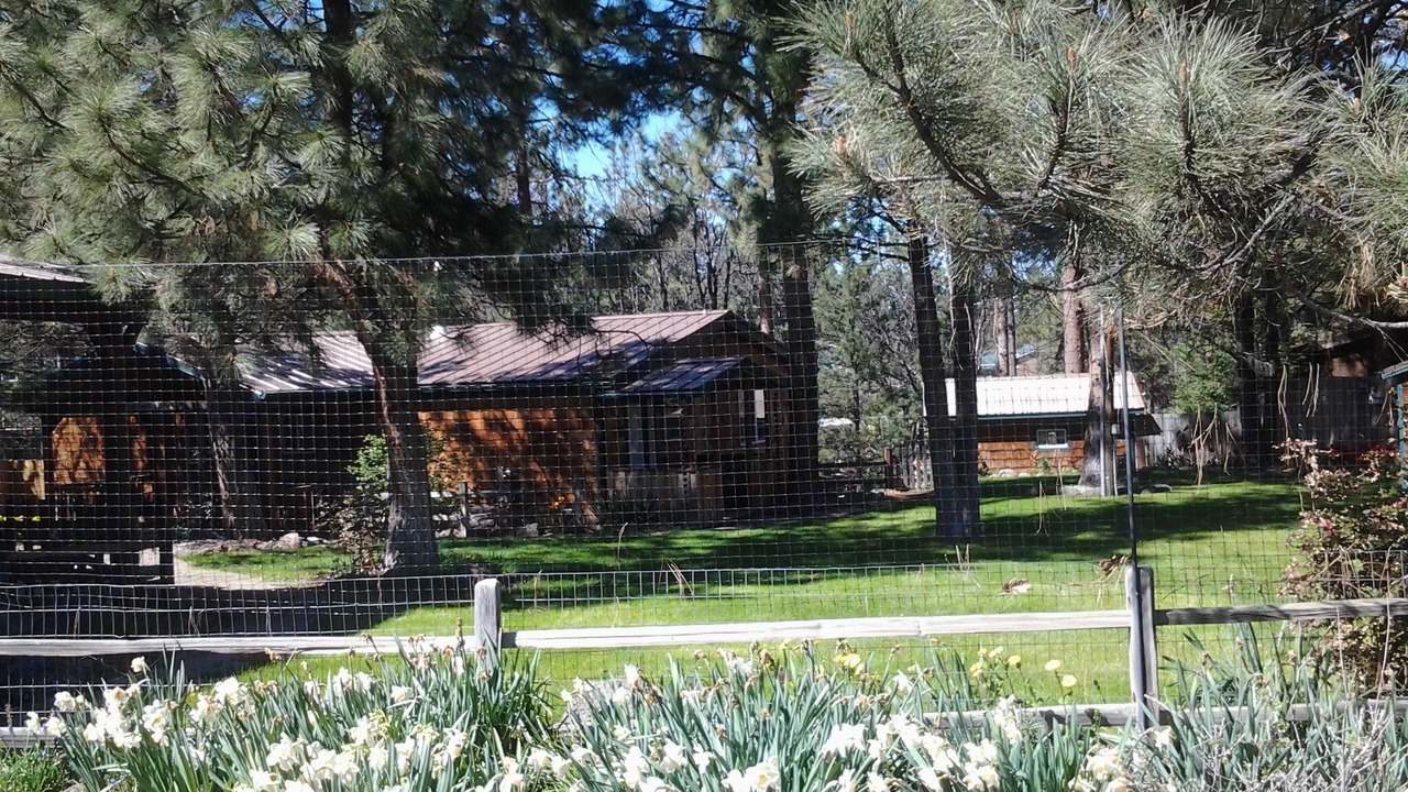Photo of Outdoor in Pine Hollow